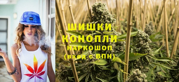 крисы Магас