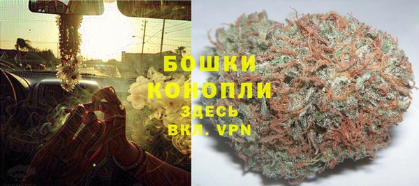 крисы Магас