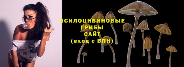СК Майский