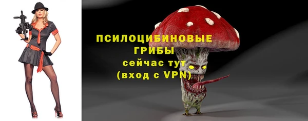 крисы Магас