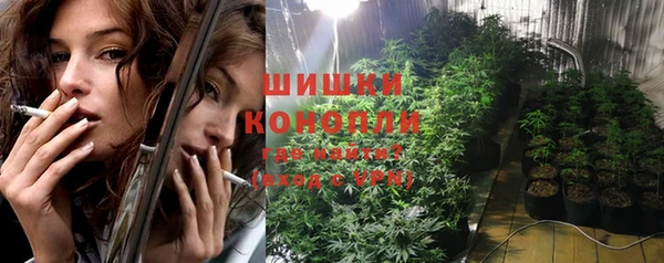 крисы Магас