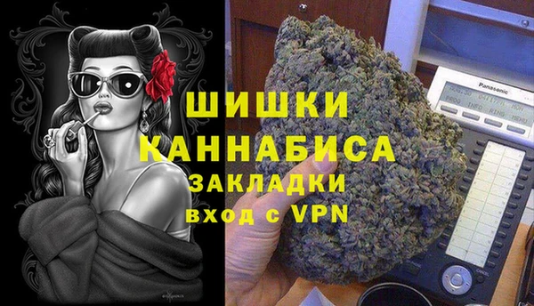 крисы Магас