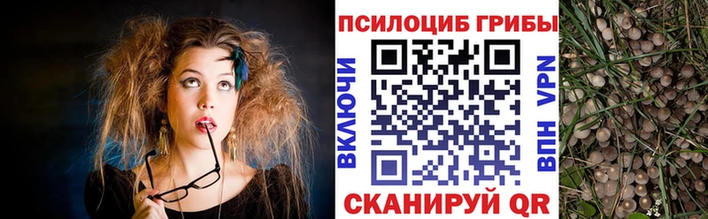 Галлюциногенные грибы ЛСД  Купить где  Маркс 